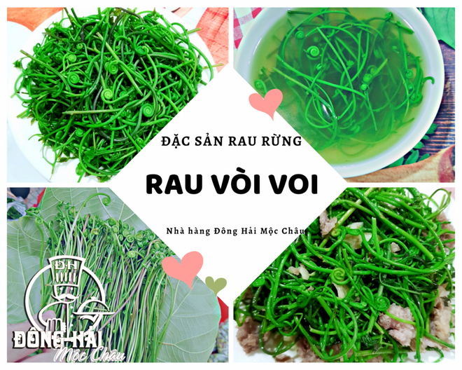 Trốn nóng mùa hè, sao không đến Mộc Châu?