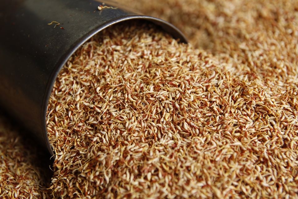 Đặc sản thạch Cao Bằng