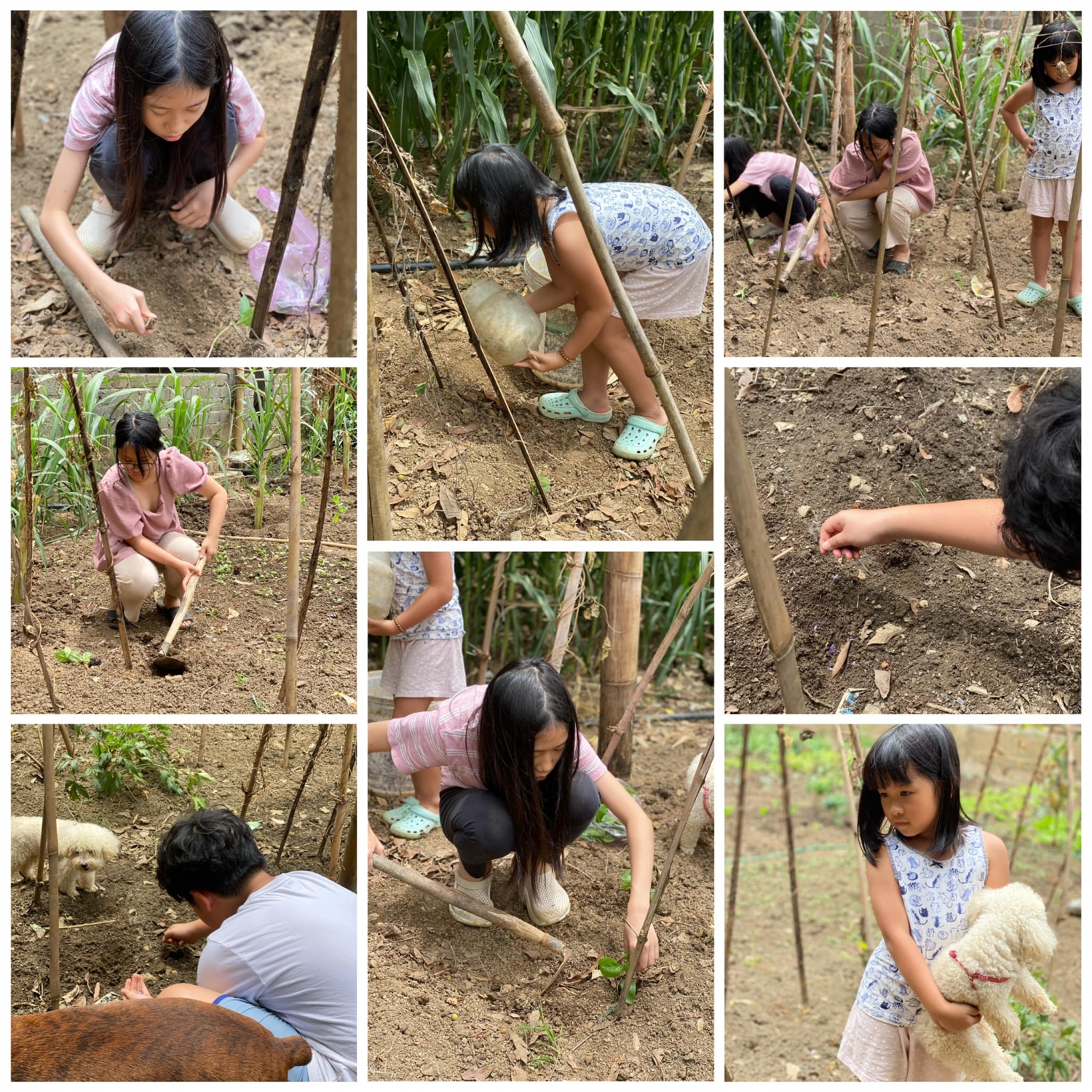 Xu hướng nghỉ dưỡng mùa hè ở Mộc Châu