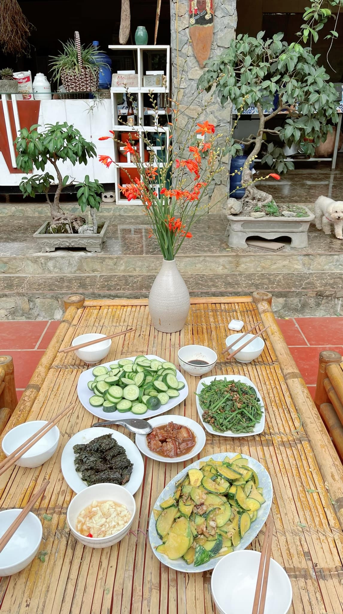 Xu hướng nghỉ dưỡng mùa hè ở Mộc Châu