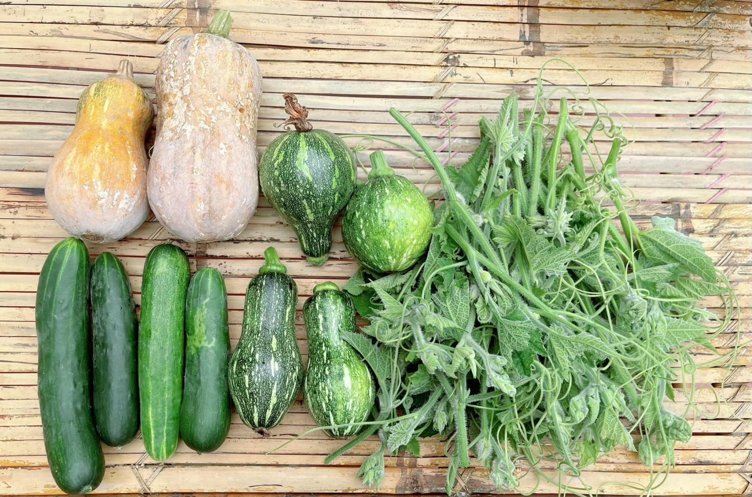 Xu hướng nghỉ dưỡng mùa hè ở Mộc Châu