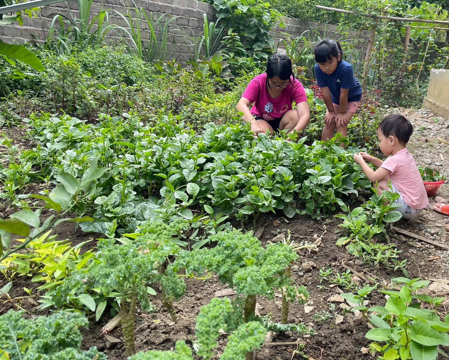 Xu hướng nghỉ dưỡng mùa hè ở Mộc Châu