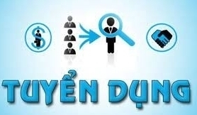 Petrosetco Vũng Tàu tuyển kỹ sư thương mại
