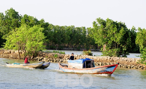 Êm ả Cồn Chim