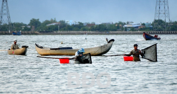 Êm ả Cồn Chim