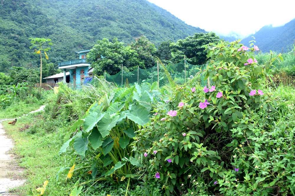 Mùa hè ở Quảng An