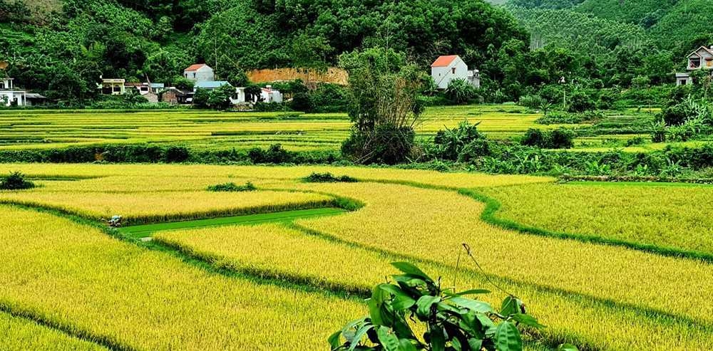 Tiềm năng du lịch ở Đại Dực