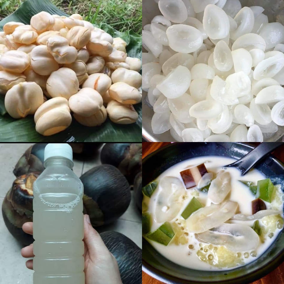 Thưởng thức món ngon độc đáo từ thốt nốt