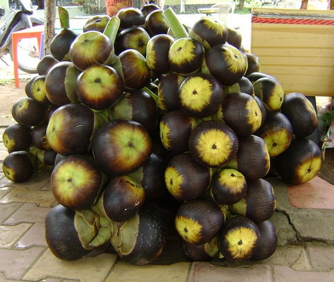 Thưởng thức món ngon độc đáo từ thốt nốt