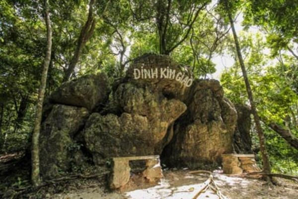 Chinh phục đỉnh Ngự Lâm, rừng Kim Giao ở Hải Phòng Chinh phục đỉnh Ngự Lâm, rừng Kim Giao ở Hải Phòng