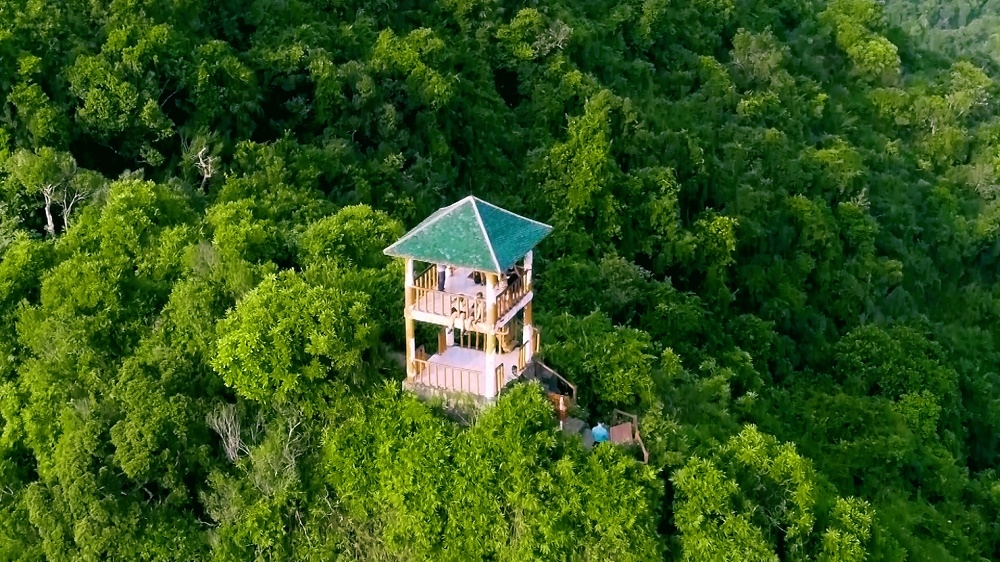 Chinh phục đỉnh Ngự Lâm, rừng Kim Giao ở Hải Phòng Chinh phục đỉnh Ngự Lâm, rừng Kim Giao ở Hải Phòng