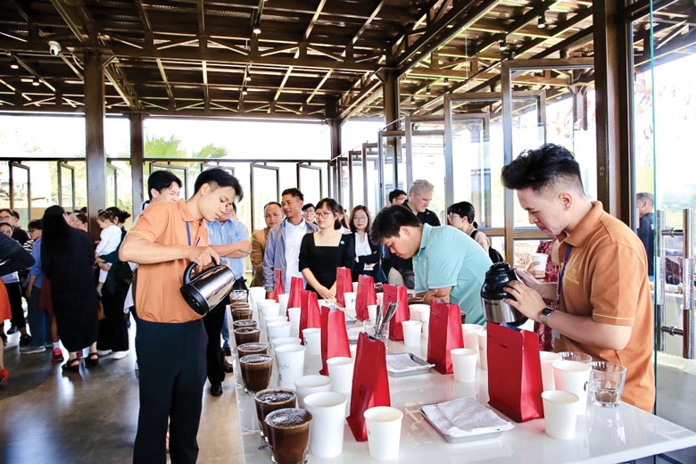 Trải nghiệm cà phê đặc sản bên thác Voi