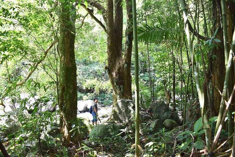 Kỳ thú thác Đôi, Quảng Ninh