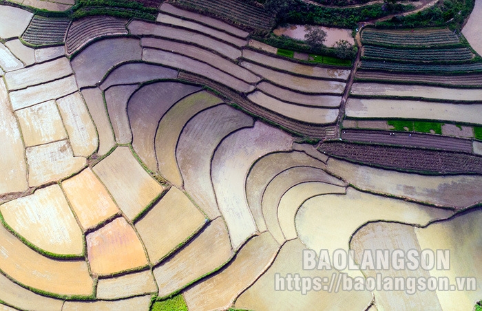 Mùa nước đổ ở Sàn Viên
