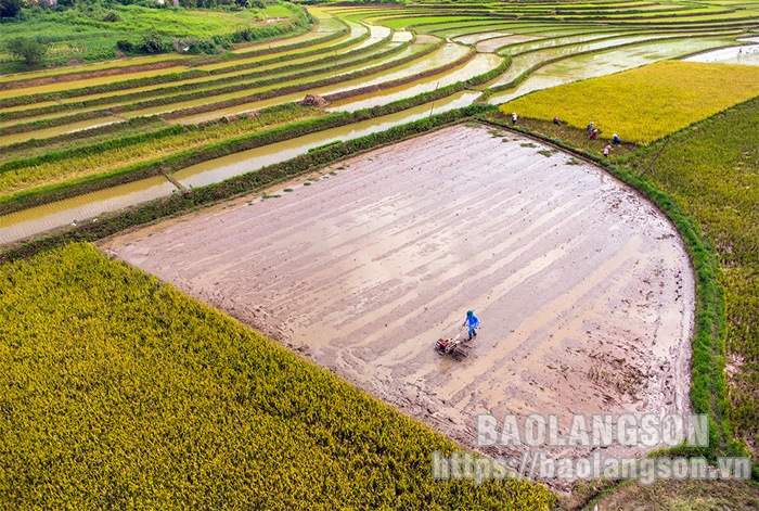 Mùa nước đổ ở Sàn Viên Mùa nước đổ ở Sàn Viên