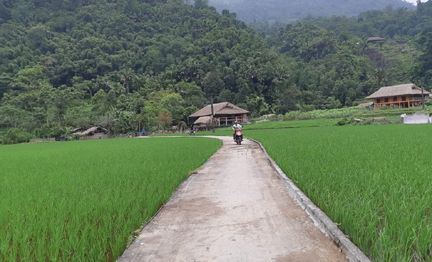 thung lung homestay quang ha