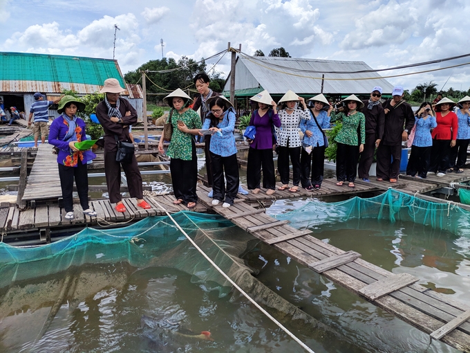 Nơi chân du khách không bao giờ chạm đất ở Cần Thơ noi chan du khach khong bao gio cham dat o can tho