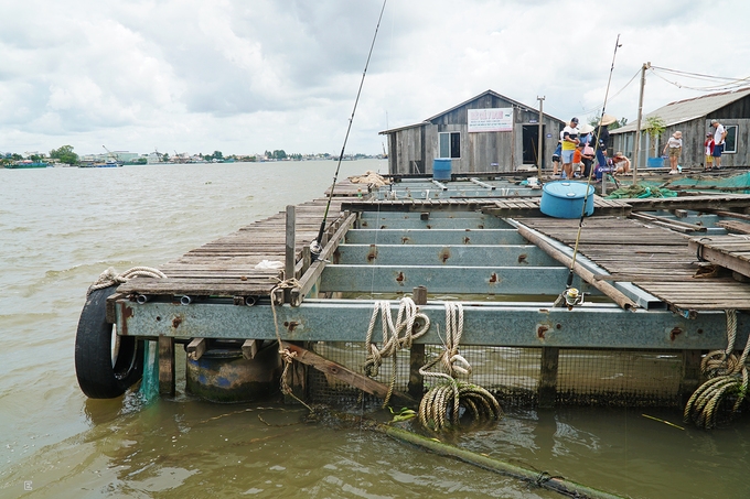 Nơi chân du khách không bao giờ chạm đất ở Cần Thơ noi chan du khach khong bao gio cham dat o can tho