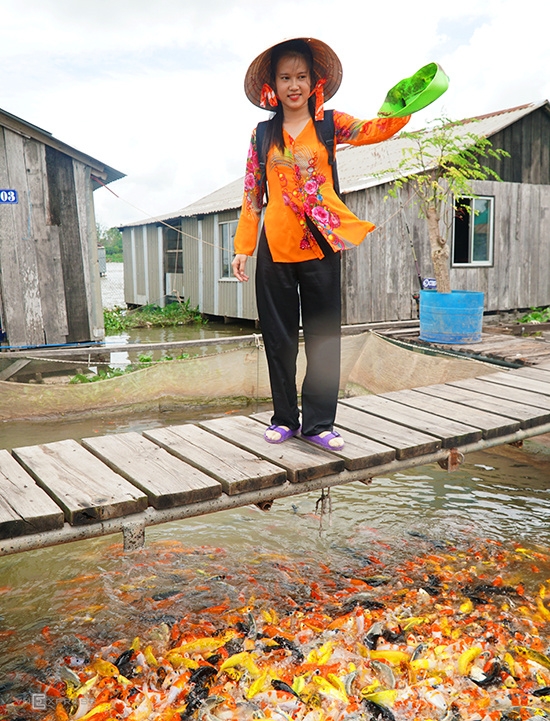 Nơi chân du khách không bao giờ chạm đất ở Cần Thơ noi chan du khach khong bao gio cham dat o can tho