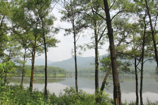 ho yen trung gap da lat ngay giua long uong bi