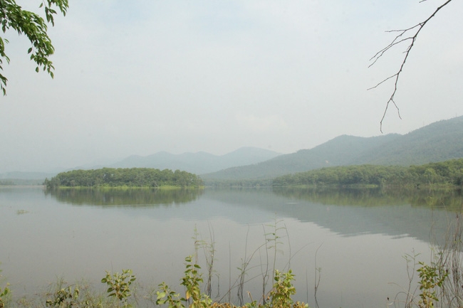 ho yen trung gap da lat ngay giua long uong bi
