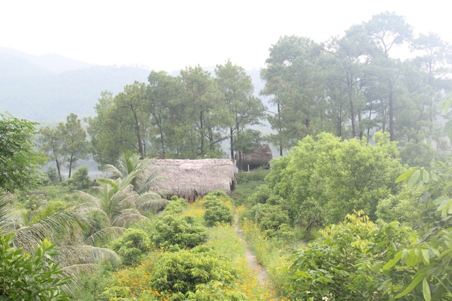 ho yen trung gap da lat ngay giua long uong bi