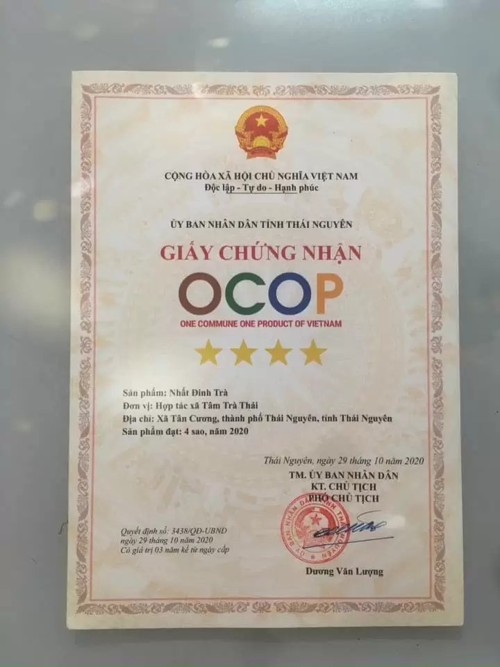 Trà ướp sen tươi - Thức uống tao nhã của người Thái Nguyên