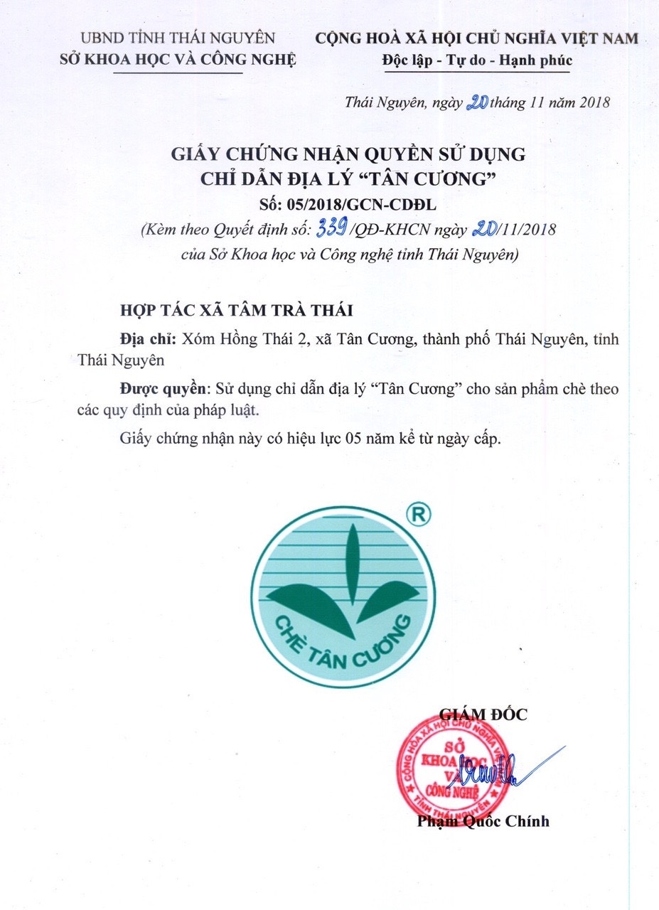 Trà ướp sen tươi - Thức uống tao nhã của người Thái Nguyên