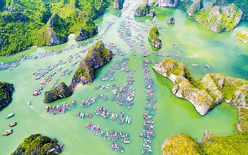 Làng chài cổ nhất Việt Nam trên đảo Ngọc