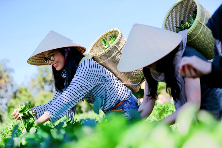 Sản phẩm của du lịch nông thôn Sản phẩm của du lịch nông thôn