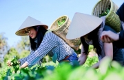 Sản phẩm của du lịch nông thôn