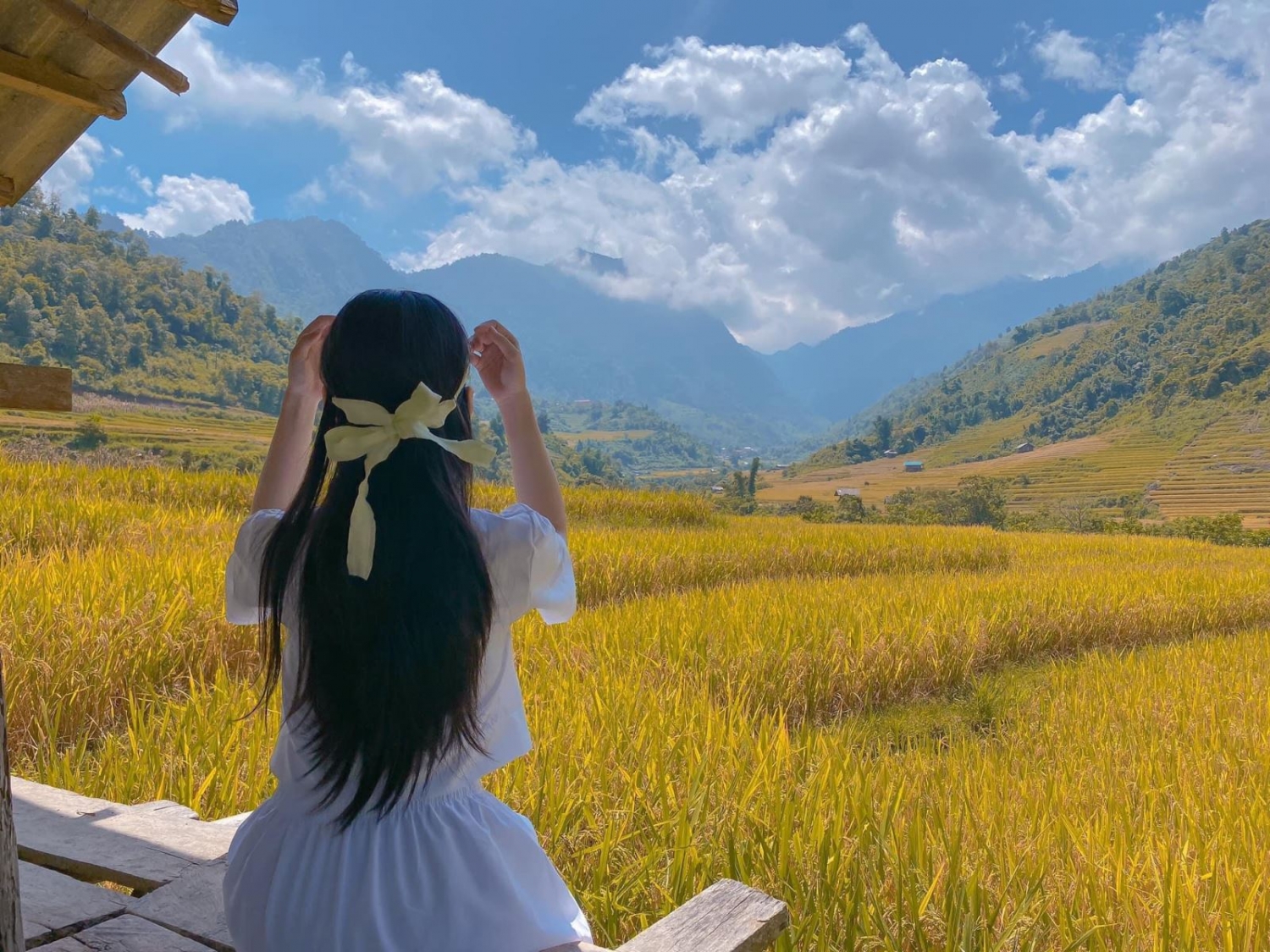 Mùa vàng rực rỡ ở Nậm Cang - Sa Pa