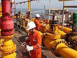 Công ty cổ phần Dầu khí Quảng Ngãi PTSC tuyển dụng Giám sát điện