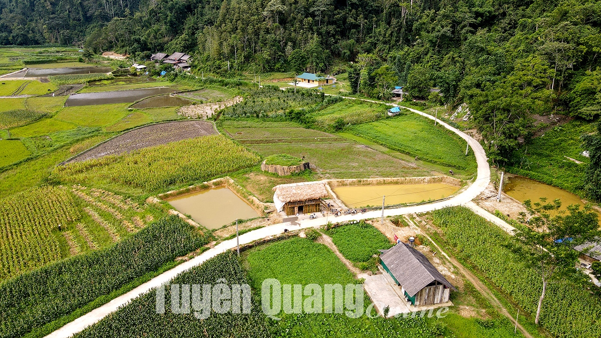 Giấc mơ Bản Bung