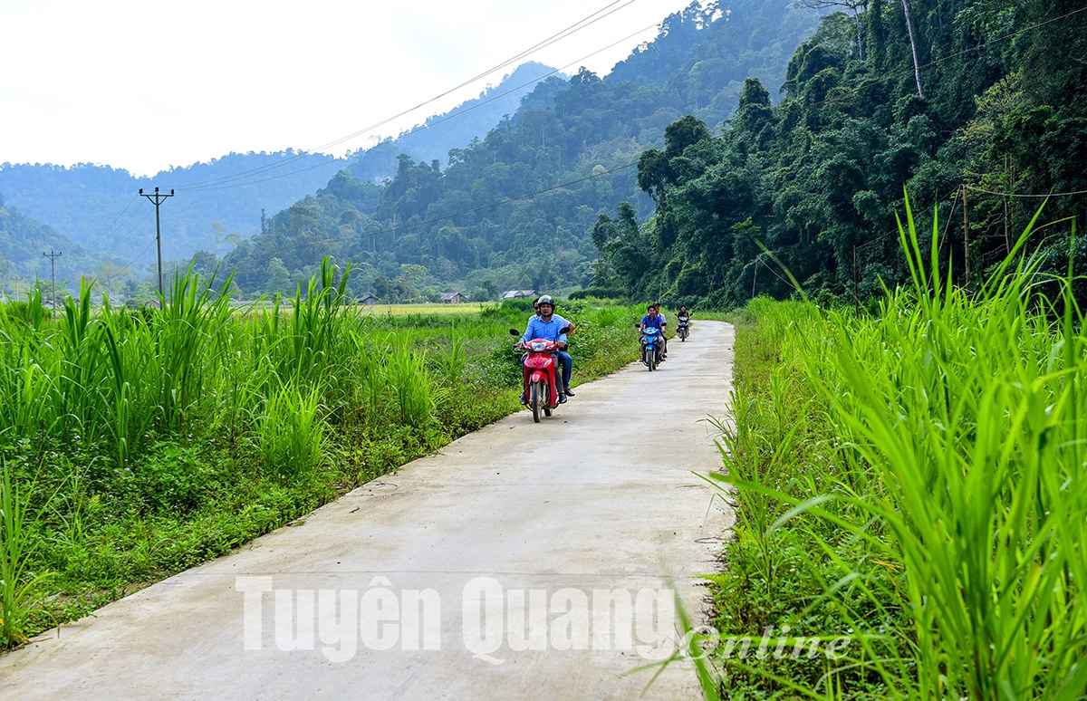 Giấc mơ Bản Bung