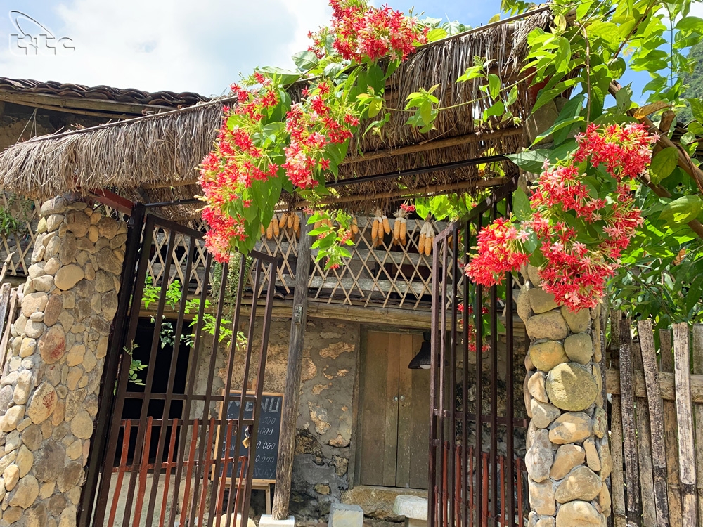 nhung ngoi nha san da tram tuoi o vung bien cuong