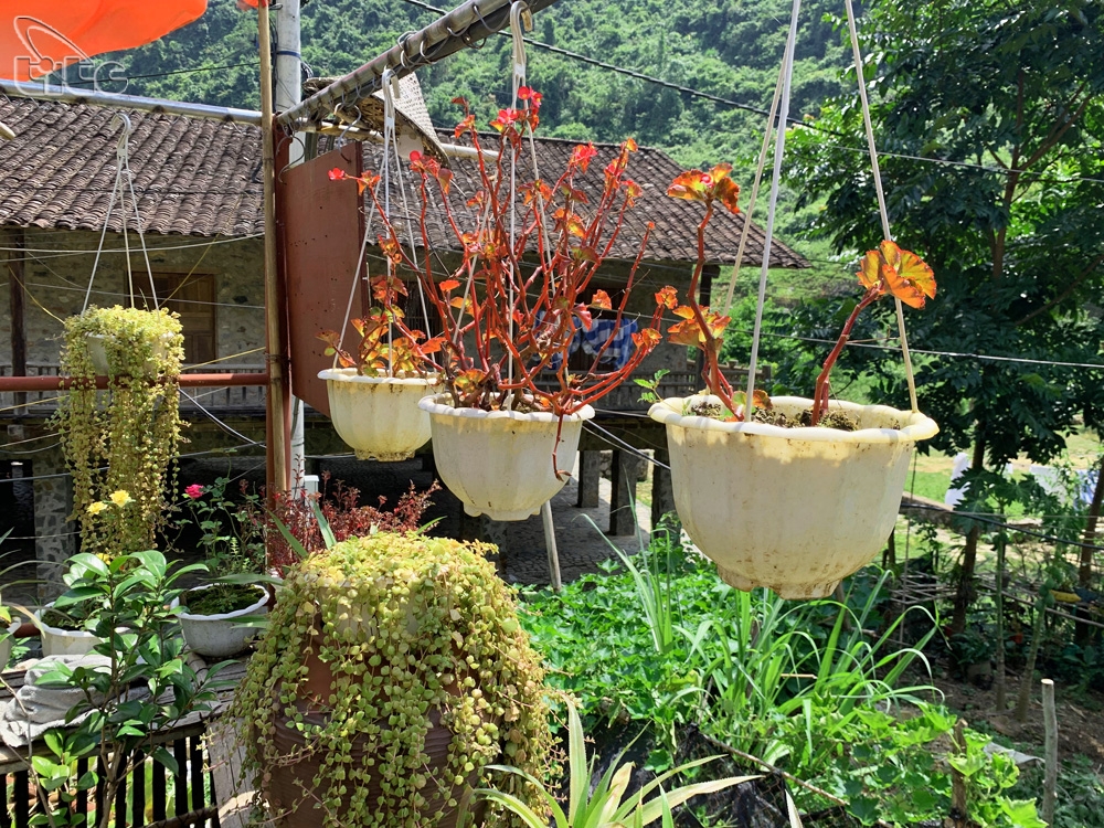 nhung ngoi nha san da tram tuoi o vung bien cuong