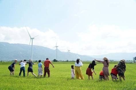 ninh thuan dep hut hon voi canh dong dien gio