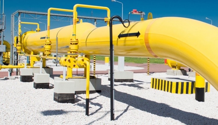 undefined 5124-img-7216