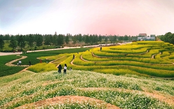 Du lịch nông nghiệp: Tạo 