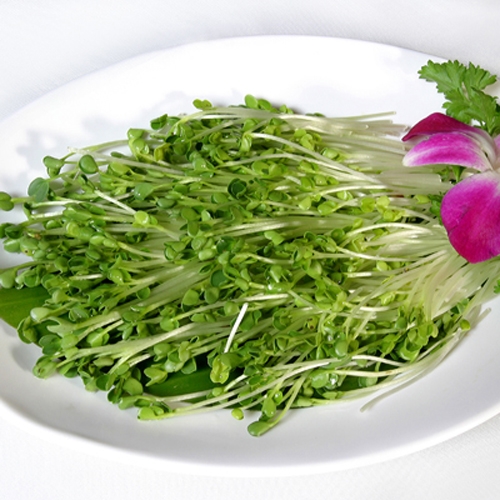 Những loại rau quả tốt hơn cho sức khỏe khi ăn sống Những loại rau quả tốt hơn cho sức khỏe khi ăn sống