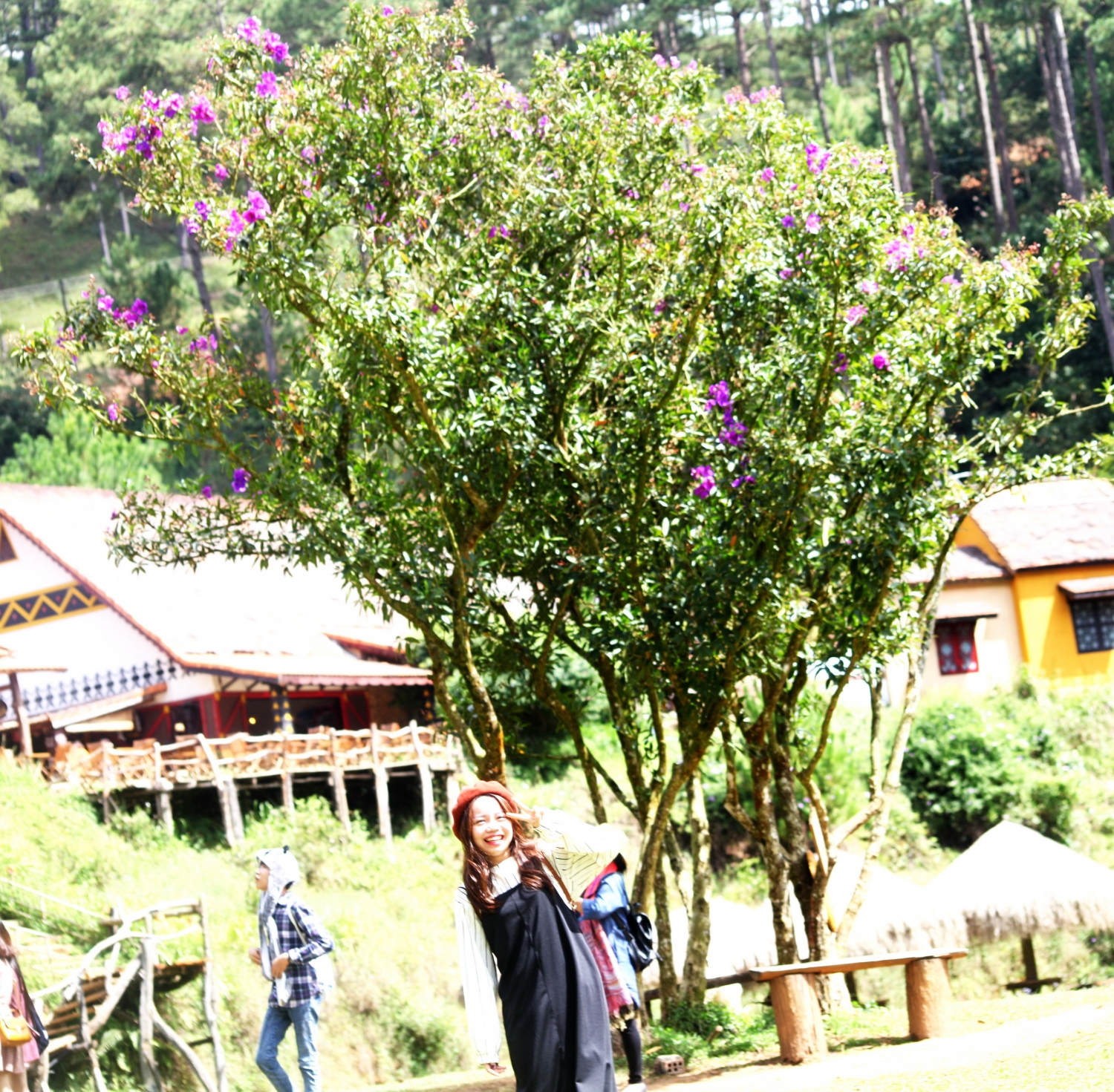 In dấu chân mình ở Đà Lạt In dấu chân mình ở Đà Lạt