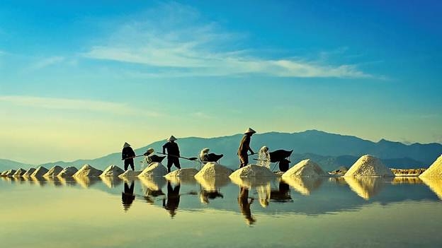 Vẻ đẹp mặn mà của những cánh đồng muối Ninh Thuận Vẻ đẹp mặn mà của những cánh đồng muối Ninh Thuận