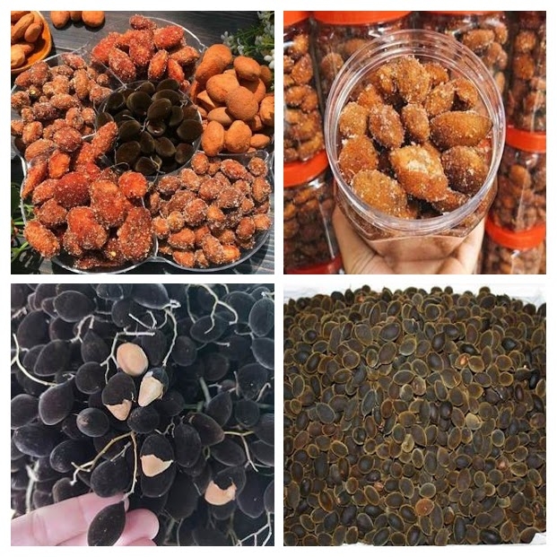 Thưởng thức trái xay nhung rừng Vĩnh Hy vừa lạ, vừa ngon