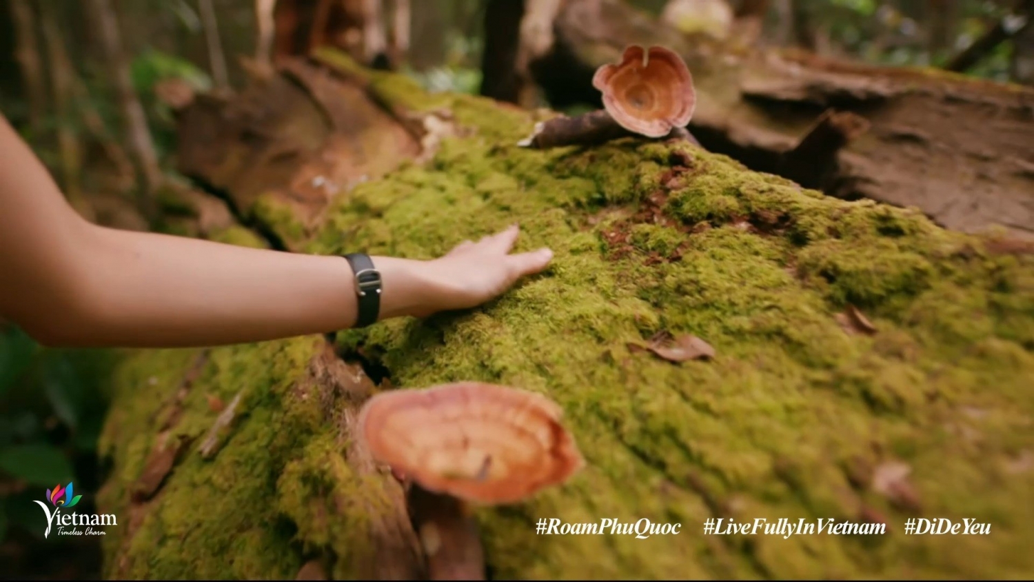 Du ngoạn Phú Quốc qua clip “Việt Nam: Đi Để Yêu! – Roam Phu Quoc” Du ngoạn Phú Quốc qua clip “Việt Nam: Đi Để Yêu! – Roam Phu Quoc”