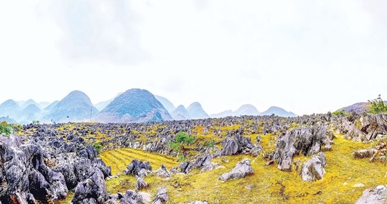 Cao nguyên đá Tủa Chùa và bí mật Di tích Thành Vàng Lồng Cao nguyên đá Tủa Chùa và bí mật Di tích Thành Vàng Lồng