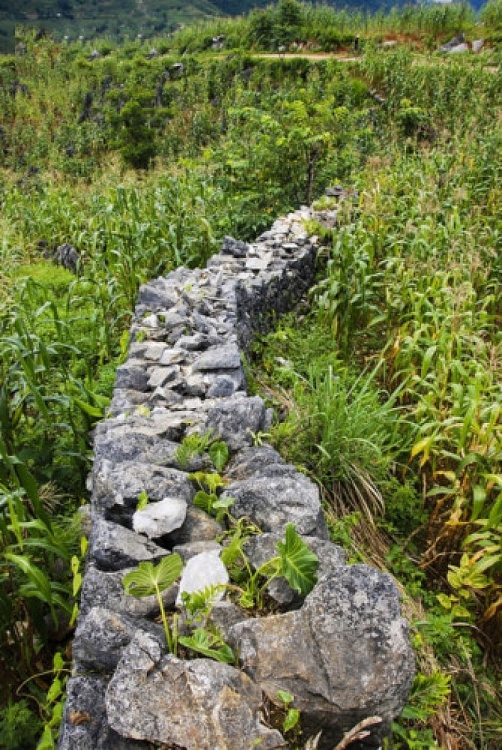 Cao nguyên đá Tủa Chùa và bí mật Di tích Thành Vàng Lồng Cao nguyên đá Tủa Chùa và bí mật Di tích Thành Vàng Lồng