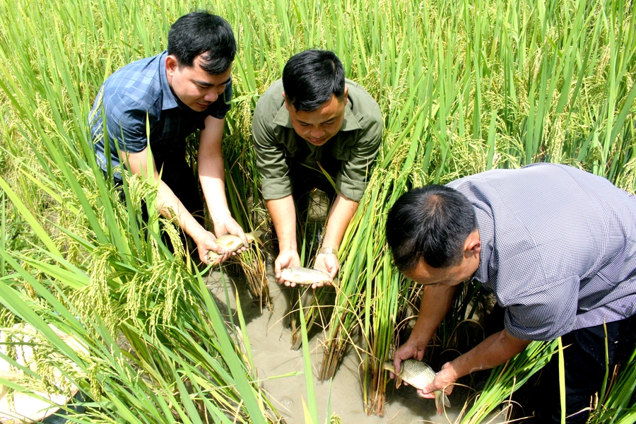 Tả Sử Choóng - Mảnh đất giàu tiềm năng du lịch Tả Sử Choóng - Mảnh đất giàu tiềm năng du lịch