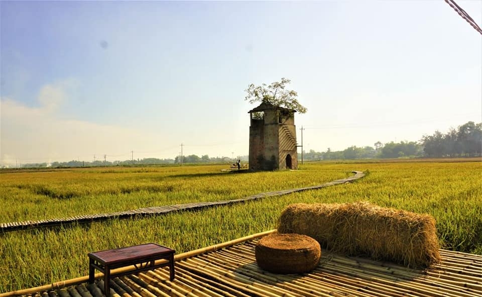 Bộ Y tế hướng dẫn dùng y học cổ truyền để phòng chống Covid-19 Bộ Y tế hướng dẫn dùng y học cổ truyền để phòng chống Covid-19