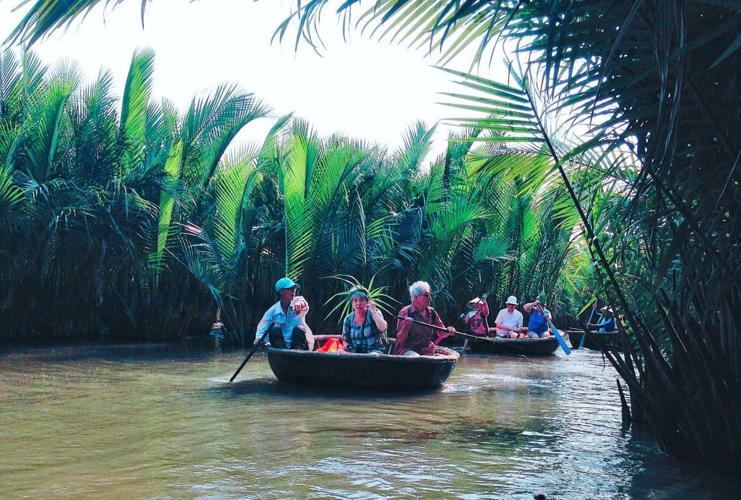 Bộ Y tế hướng dẫn dùng y học cổ truyền để phòng chống Covid-19 Bộ Y tế hướng dẫn dùng y học cổ truyền để phòng chống Covid-19